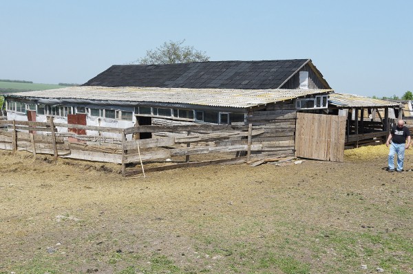 Заброшенные хутора: как пустеют воронежские деревни. Долгинка