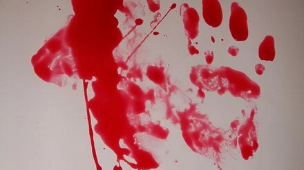 СК рассказал подробности жуткой истории о найденном расчленённом теле в Воронеже