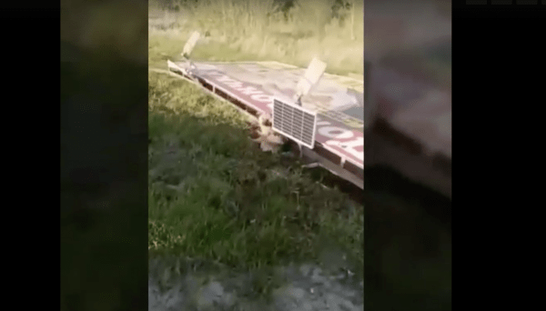 Под Воронежем рекламный баннер рухнул на землю и смертельно ранил собаку