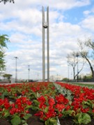 В Воронеже в этом году обустроят около двух сотен цветников