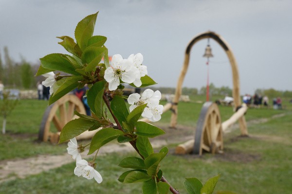Итоги недели. Что важного произошло в Воронежской области с 3 по 9 мая