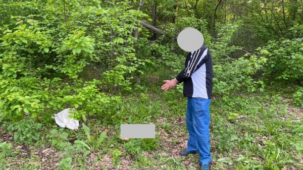 Итоги недели. Что важного произошло в Воронежской области с 24 по 30 мая