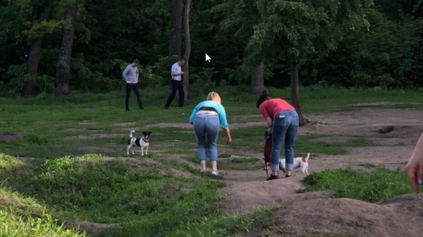 В микрорайоне Дубрава в Воронеже обнаружили расчлененное тело
