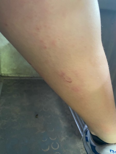 Колесо взорвалось под пассажиром воронежского рейсового автобуса