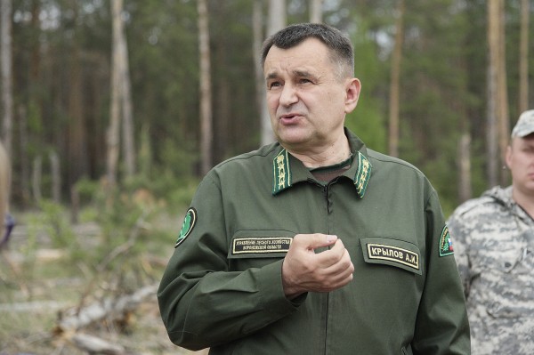 &laquo;Все тут по закону&raquo;. Сосновый лес в центре Воронежской области &ndash; под угрозой исчезновения?