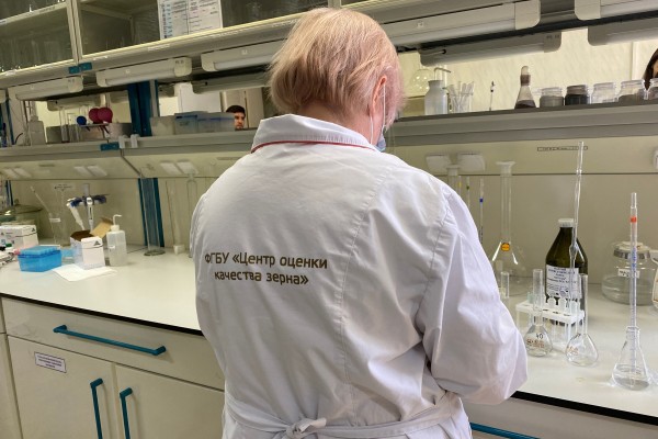 Мобильные лаборатории и уникальное оборудование. Как оценивают свойства воронежского зерна