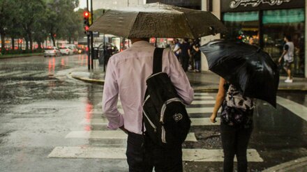 Синоптики рассказали, вернётся ли жара в Воронежскую область на новой неделе