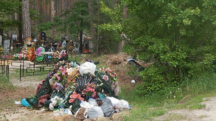 Хоронят прямо на дороге. Стихийное кладбище захватило часть Воронежского заповедника