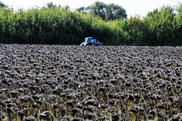 Обзор РИА &laquo;Воронеж&raquo;. Какие законы вступят в силу в июне-2021