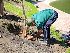 Завершаются работы по реконструкции озера на Минской