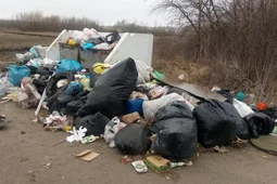 Воронежской области пообещали дополнительные деньги на ликвидацию свалок
