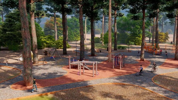 Итоги недели. Что важного произошло в Воронежской области с 7 по 13 июня