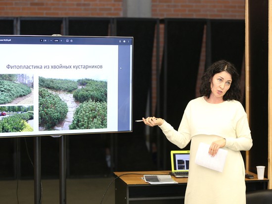 В Воронеже продолжают обсуждать проект обновления Петровской набережной