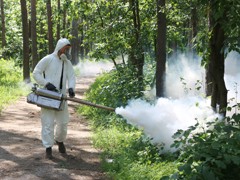 В Воронеже продолжается обработка парков и скверов от комаров и клещей