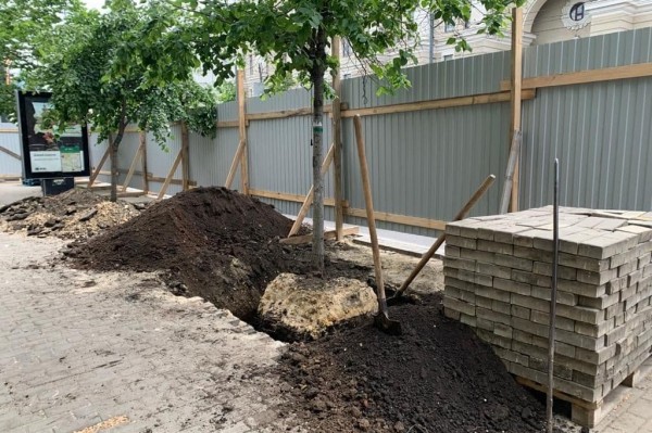 Липы из центра Воронежа переехали к памятнику Славы