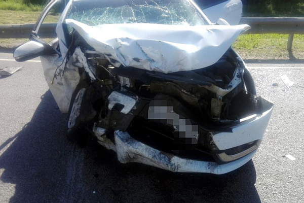 Трое взрослых и 9-летняя девочка пострадали в ДТП на трассе в Воронежской области