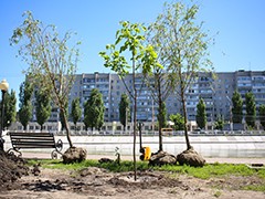 Завершаются работы по реконструкции озера на Минской