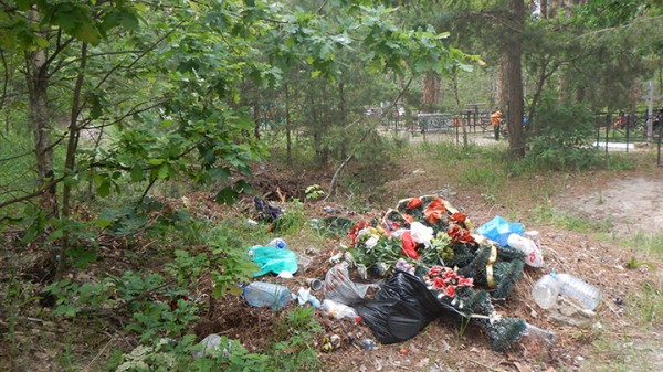 Хоронят прямо на дороге. Стихийное кладбище захватило часть Воронежского заповедника