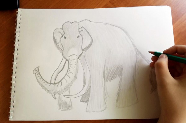 Гид РИА &laquo;Воронеж&raquo;. Чем заняться в выходные 26-27 июня