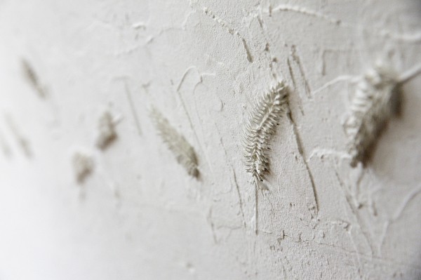 Заброшенные хутора: как пустеют воронежские деревни. Солонцы