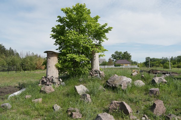 Заброшенные хутора: как пустеют воронежские деревни. Солонцы