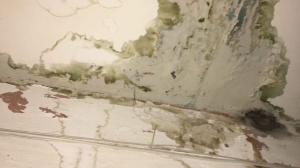 Живущая месяц без воды жительница Воронежа пожаловалась на залитый потолок