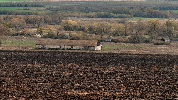 Участок или деньги? Как многодетные воронежцы отнеслись к закону о компенсации за землю