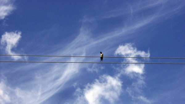 Итоги недели. Что важного произошло в Воронежской области с 31 мая по 6 июня