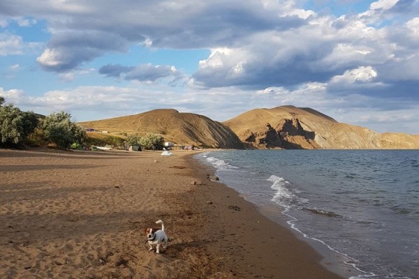 Инструкция РИА &laquo;Воронеж&raquo;. Как поехать в отпуск на машине и вернуться