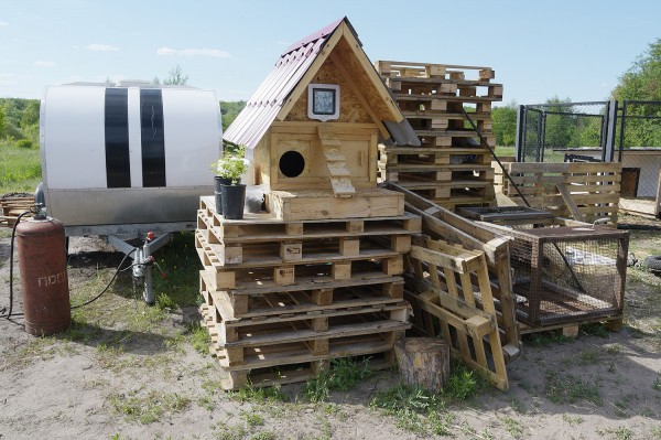 Заброшенные хутора: как пустеют воронежские деревни. Солонцы