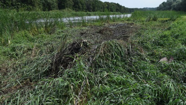 В Воронеже пройдет марш-бросок памяти Романа Филипова