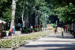 Мэрия Воронежа проведет общерегиональный день приема граждан 15 июня