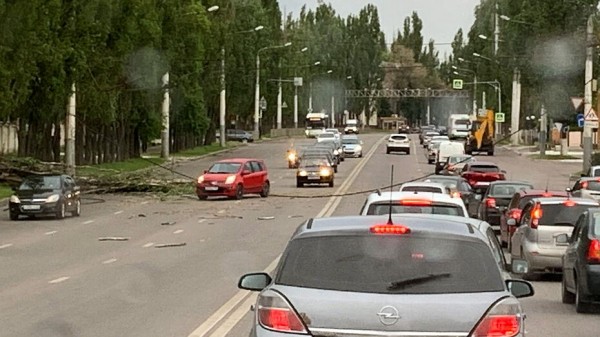 Придорожное дерево упало и оборвало провода на воронежской улице