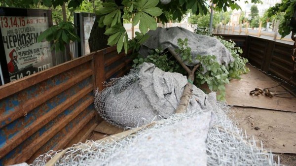 Липы из центра Воронежа переехали к памятнику Славы