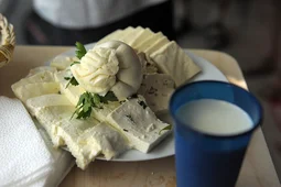 Воронежский губернатор и посол Израиля обсудили перспективы инвестиций в регион