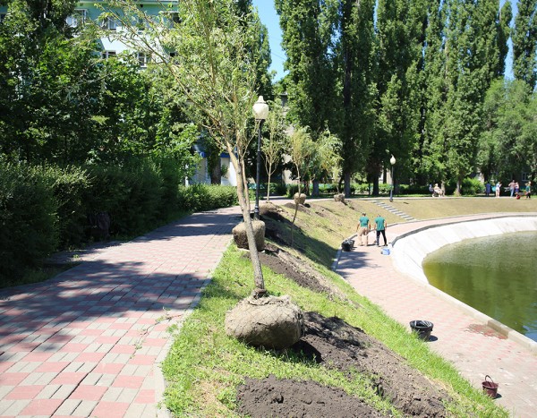 В Воронеже завершают работы по реконструкции озера на Минской