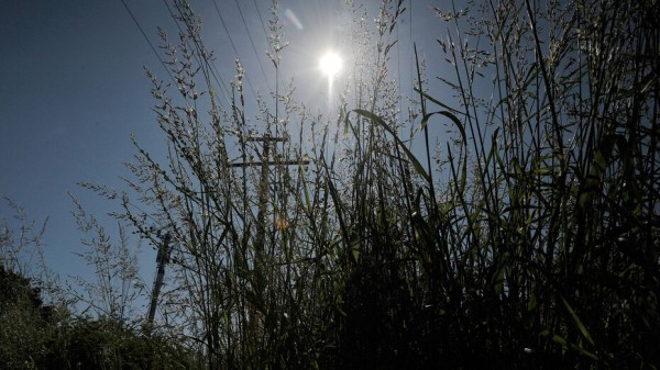 На объездной трассе в Воронеже у водителя частично остановилось сердце