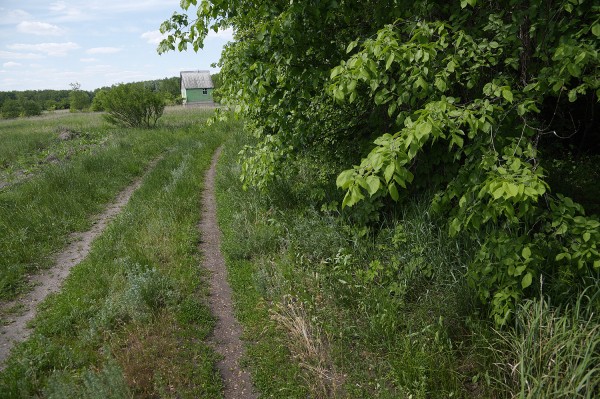 Заброшенные хутора: как пустеют воронежские деревни. Солонцы