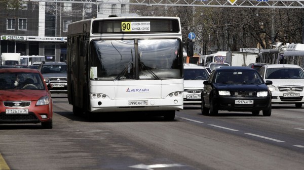 За 7 ночей нанесут разметку для выделенки на улице Плехановской в Воронеже