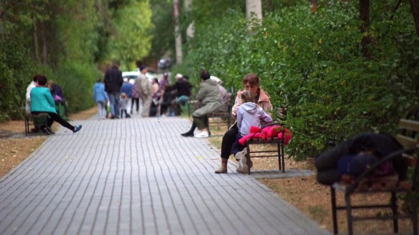 Итоги недели. Что важного произошло в Воронежской области с 7 по 13 июня