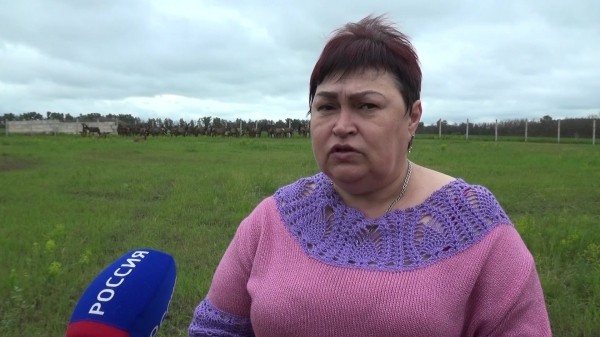 До 400$ за кг. Воронежская ферма отправит на экспорт срезанные у оленей &laquo;лечебные&raquo; рога 