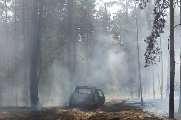 Из-за загоревшейся машины в Воронежской области произошел лесной пожар