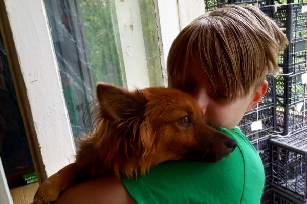 Гид РИА &laquo;Воронеж&raquo;. Чем заняться в первые выходные лета