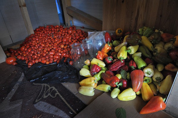 Обзор РИА &laquo;Воронеж&raquo;. Какие законы вступают в силу 1 июля 2021 года