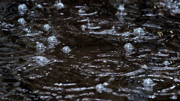 Воронежцев предупредили о ливнях и грозах