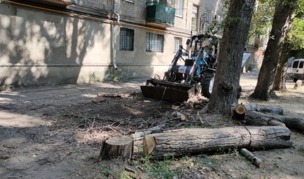 Как в Воронеже ГК &laquo;ПИК-Комфорт&raquo; приводит в порядок зеленые насаждения