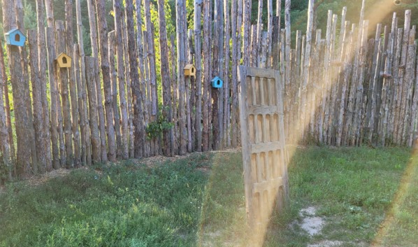 Какая погода ожидается в Воронеже с 19 по 23 июля