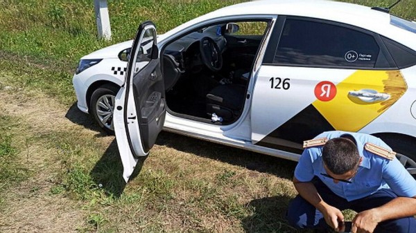 Итоги недели. Что важного произошло в Воронежской области с 12 по 18 июля