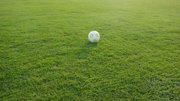 Футбольное поле при школе №2 в Семилуках Воронежской области построят к ноябрю