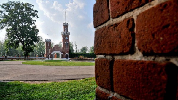 Итоги недели. Что важного произошло в Воронеже с 19 по 25 июля